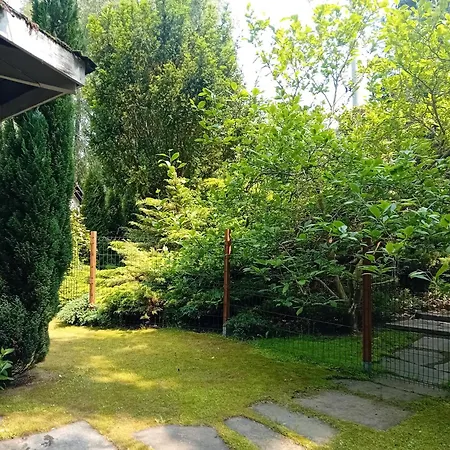 Black & White - Honey בקתה קולז'בו