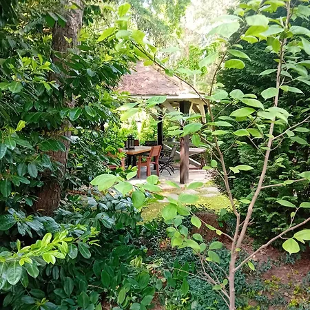 בקתה Black & White - Honey *