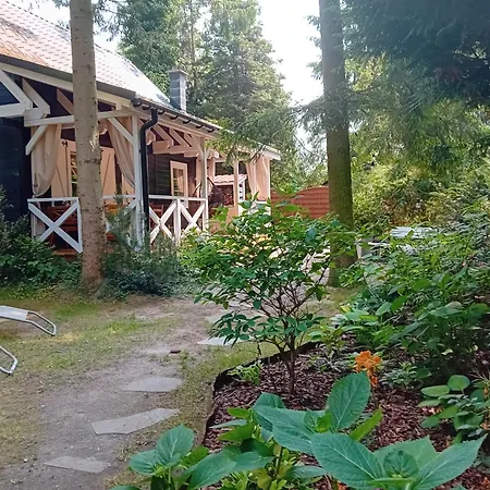 Black & White - Honey