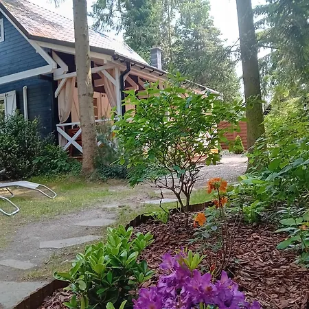 Black & White - Honey בקתה *