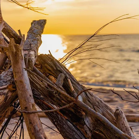 Black & White - Honey