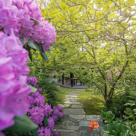 Black & White - Honey *