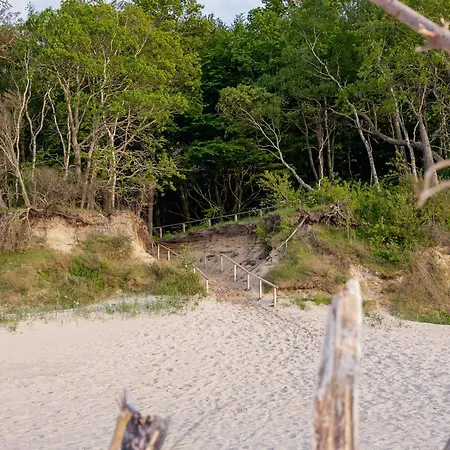 Black & White - Honey בקתה *