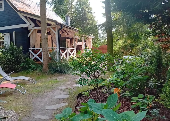 Black & White - Honey