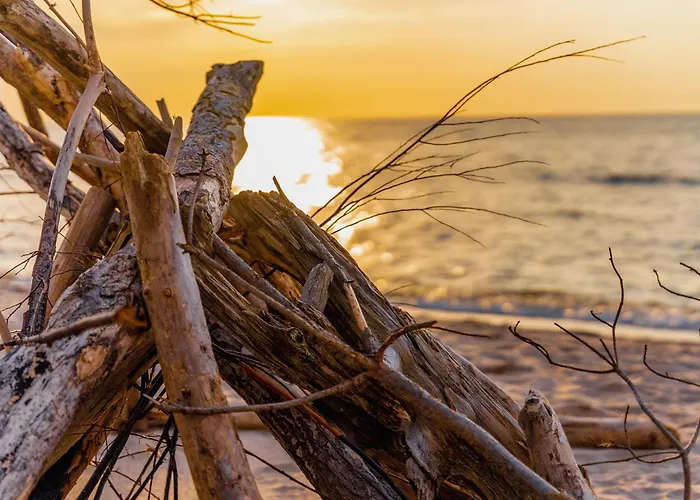 Black & White - Honey