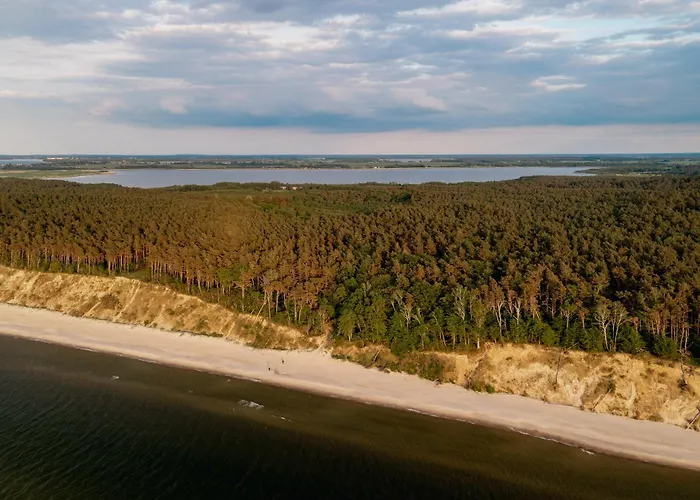 Black & White - Honey