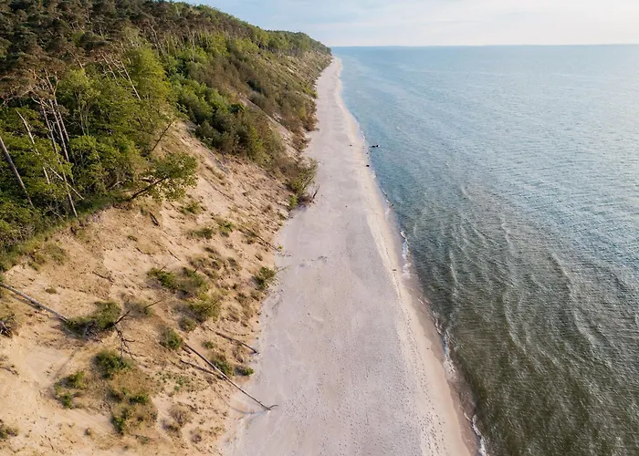 Black & White - Honey Chalet *