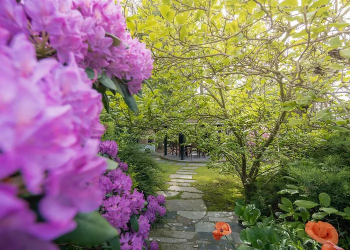 Black & White - Honey *