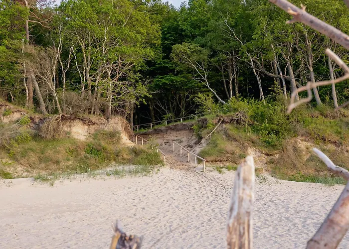 Black & White - Honey シャレー *